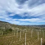 Casas Do Travasso - Quinta Da Galinha