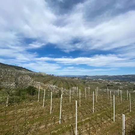 Casas Do Travasso - Quinta Da Galinha