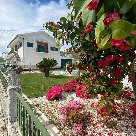 Отель Casas Do Travasso - Quinta Da Galinha
