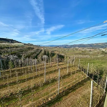 Отель Casas Do Travasso - Quinta Da Galinha